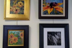 BVAA-2022-Sunflower-show-group