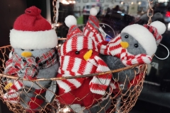 Holiday-2024-snow-birds