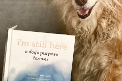 Im-Still-Here-book-promo-with-dog